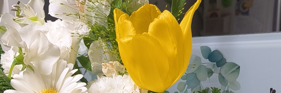 光のAI、影の介護。若者の人生を分断する「介護格差」と、日本を救うりぼん流「老育」の教え